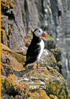 eBook: Die Abenteuer des kleinen PUFFIN