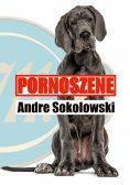 eBook: Pornoszene