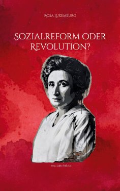 ebook: Sozialreform oder Revolution?