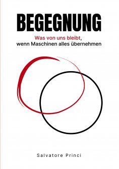 eBook: Begegnung