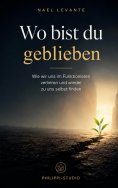 ebook: Wo bist du geblieben