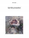 ebook: Soll-Bruchstellen