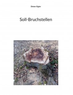 ebook: Soll-Bruchstellen