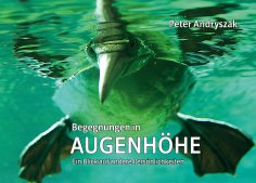 eBook: Begegnungen in  Augenhöhe