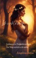 eBook: Die Lernaufgaben im Dualseelenprozess