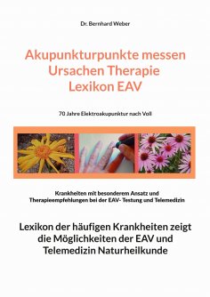 ebook: Akupunkturpunkte messen Ursachen Therapie Lexikon EAV