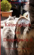 ebook: Katzenglück im Doppelpack II