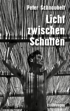 eBook: Licht zwischen Schatten