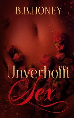 eBook: Erotische Kurzgeschichten