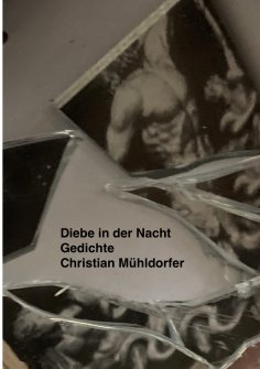 ebook: Diebe in der Nacht