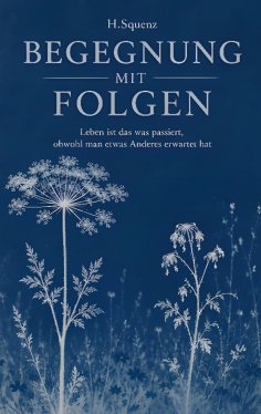 eBook: Begegnung mit Folgen