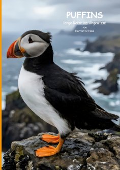 eBook: Puffins lange Reise ins Ungewisse