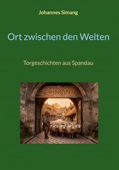 ebook: Ort zwischen den Welten