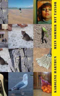 eBook: Mein Sommer mit Taylor