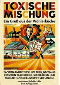 eBook: Toxische Mischung
