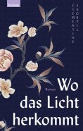 eBook: Wo das Licht herkommt