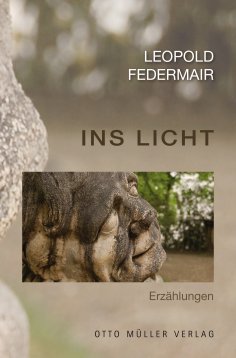 ebook: Ins Licht