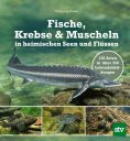 ebook: Fische, Krebse & Muscheln in heimischen Seen und Flüssen