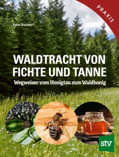 eBook: Waldtracht von Fichte und Tanne