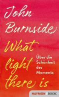eBook: What light there is