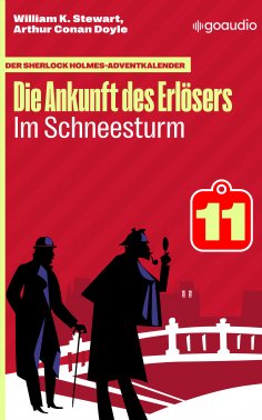 ebook: Im Schneesturm