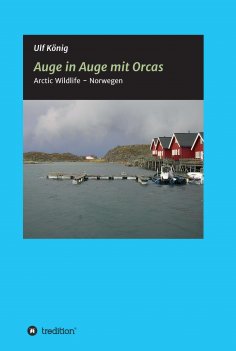 eBook: Auge in Auge mit Orcas
