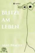 ebook: Blitze am Leben