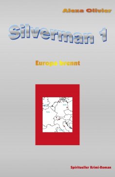 eBook: Silverman 1