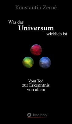 eBook: Was das Universum wirklich ist