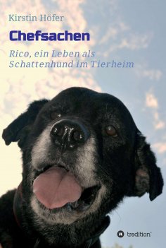 eBook: Chefsachen