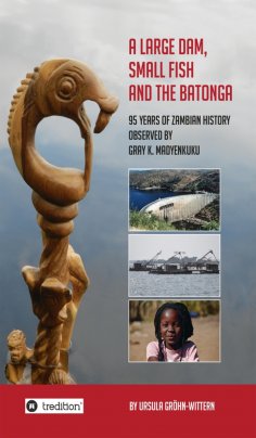 eBook: A Large Dam, Small Fish and the BaTonga