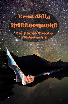 ebook: Mitternacht