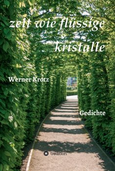 eBook: zeit wie flüssige kristalle