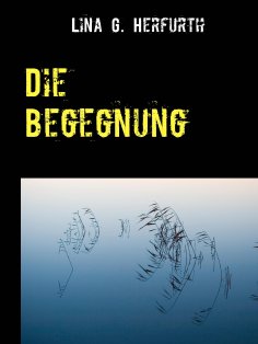 ebook: Die Begegnung