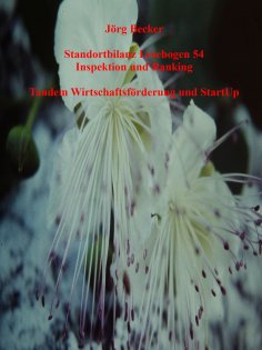 ebook: Standortbilanz Lesebogen 54 Inspektion und Ranking