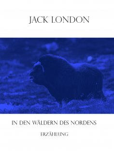 eBook: In den Wäldern des Nordens