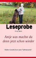eBook: Antje was machst du denn jetzt schon wieder