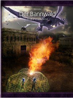 ebook: Der Bannwald - 2