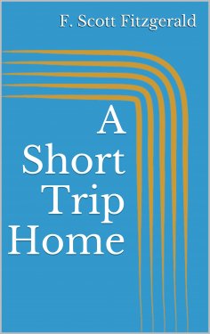 eBook: A Short Trip Home