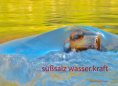 eBook: süßsalz wasser-kraft