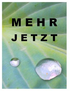 eBook: Mehr jetzt