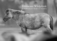ebook: Dülmener Wildpferde