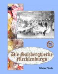 ebook: Die Salzbergwerke Mecklenburgs