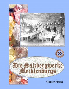 ebook: Die Salzbergwerke Mecklenburgs