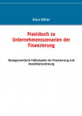 ebook: Praxisbuch zu Unternehmensszenarien der Finanzierung
