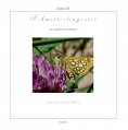 eBook: Schmetterlingszeit