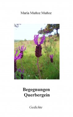 eBook: Begegnungen Querbergein