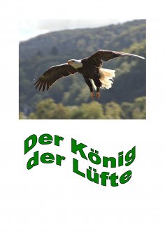 eBook: Der König der Lüfte