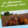 eBook: Ein Blütentraum - die Lüneburger Heide