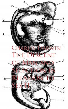 eBook: The Descent of Man and Selection in Relation to Sex II